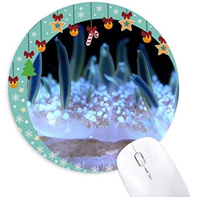 Ocean Blue Qualle Science Nature Mouse Pad Jingling Bell Round Rubber Mat Ocean Blue Qualle Science Nature Mouse Pad Jingling Bell Round Rubber Mat