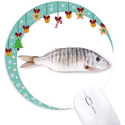 Ocean Fish Activity Curly Mouse Pad Jingling Bell Round Rubber Mat Ocean Fish Activity Curly Mouse Pad Jingling Bell Round Rubber Mat
