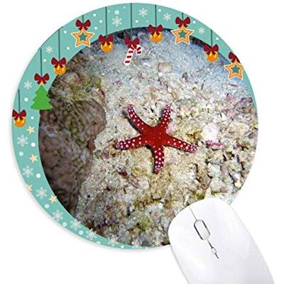 Ocean Water Starfish Nature Picture Mouse Pad Jingling Bell Round Rubber Mat Ocean Water Starfish Nature Picture Mouse Pad Jingling Bell Round Rubber Mat