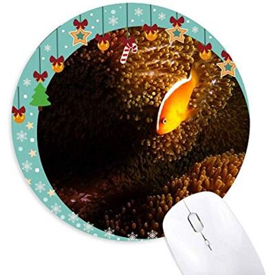 Ocean Anemone Fish Coral Science Nature Mouse Pad Jingling Bell Round Rubber Mat Ocean Anemone Fish Coral Science Nature Mouse Pad Jingling Bell Round Rubber Mat