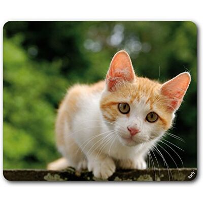 1art1 Katzen Rot-Weiß Getigertes Hauskätzchen, Aufmerksam Mauspad 23x19 cm 1art1 Katzen Rot-Weiß Getigertes Hauskätzchen, Aufmerksam Mauspad 23x19 cm