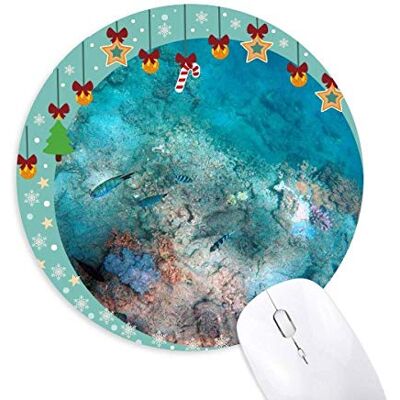 Ocean Colorful Fish Science Nature Picture Mouse Pad Jingling Bell Round Rubber Mat Ocean Colorful Fish Science Nature Picture Mouse Pad Jingling Bell Round Rubber Mat