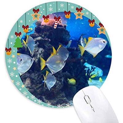 Ocean Fish Science Nature Picture Mouse Pad Jingling Bell Round Rubber Mat Ocean Fish Science Nature Picture Mouse Pad Jingling Bell Round Rubber Mat