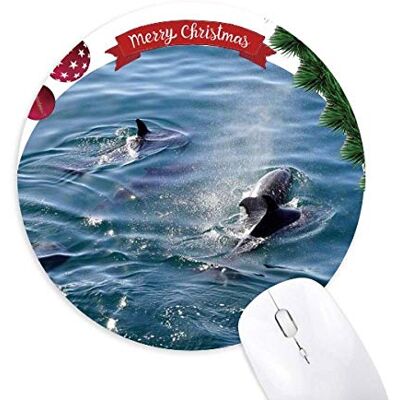 Naturbild des Ocean Killer Whale Rund um den Rubber Maus Pad Weihnachtsbaum Mat Naturbild des Ocean Killer Whale Rund um den Rubber Maus Pad Weihnachtsbaum Mat