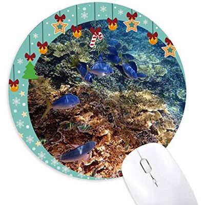 Ocean Colorful Fish Science Nature Picture Mouse Pad Jingling Bell Round Rubber Mat Ocean Colorful Fish Science Nature Picture Mouse Pad Jingling Bell Round Rubber Mat