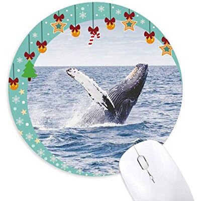Ocean Humpback Fish Science Nature Picture Mouse Pad Jingling Bell Round Rubber Mat Ocean Humpback Fish Science Nature Picture Mouse Pad Jingling Bell Round Rubber Mat