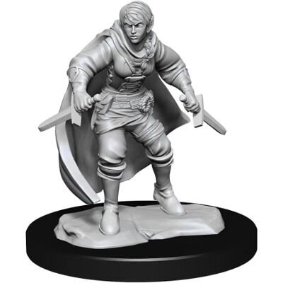 WizKids /NECA D&D Nolzur's Marvelous Miniatures: Half-Elf Rogue Female (2 Units) WizKids /NECA D&D Nolzur's Marvelous Miniatures: Half-Elf Rogue Female (2 Units)