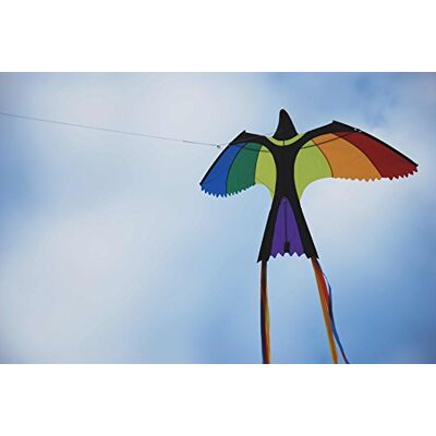 Wolkenstürmer Bonny Bird Vogel Kinderdrachen 1-Leiner Drachen für Kinder, flugfertig inkl. 40m Schnur Wolkenstürmer Bonny Bird Vogel Kinderdrachen 1-Leiner Drachen für Kinder, flugfertig inkl. 40m Schnur