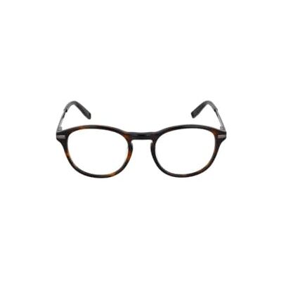 FILA Herren Df-vfi531 Sunglasses FILA Herren Df-vfi531 Sunglasses