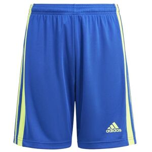 Adidas Squad 21 Shorts - Fußball Kinder Blau (128) Adidas Squad 21 Shorts - Fußball Kinder Blau (128)