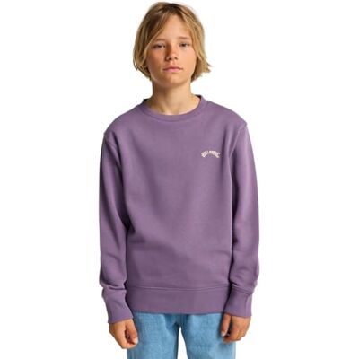 Billabong All Day Theme Pullover für Jungen (1 Stück) Billabong All Day Theme Pullover für Jungen (1 Stück)