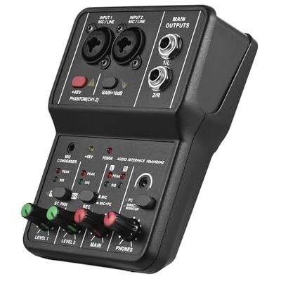 summina 48V Phantomspeisung Computer-Aufnahme-Soundkarte Audio-Interface, professionelle Aufnahme-Soundkarte, 16 Bit/48 kHz, Mini-USB-Audio-Interface, Soundkarte, 2 Eingänge und 2 Ausgänge mit 48 V summina 48V Phantomspeisung Computer-Aufnahme-Soundkarte Audio-Interface, professionelle Aufnahme-Soundkarte, 16 Bit/48 kHz, Mini-USB-Audio-Interface, Soundkarte, 2 Eingänge und 2 Ausgänge mit 48 V