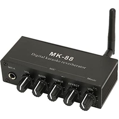 Saluaqui Karaoke Mixer Dual Microfon Input Tragbare Aluminiumlegierung Digital Karaoke Reverberator für DJ Music Bühnen -Heimpartys Saluaqui Karaoke Mixer Dual Microfon Input Tragbare Aluminiumlegierung Digital Karaoke Reverberator für DJ Music Bühnen -Heimpartys