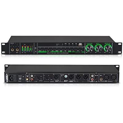 DDARKHORSE E-280 Audio Pre-Stage Reverb DSP-Prozessor mit USB, 4.0 Bluetooth, optischer Schnittstelle für Karaoke-Effektsystem DDARKHORSE E-280 Audio Pre-Stage Reverb DSP-Prozessor mit USB, 4.0 Bluetooth, optischer Schnittstelle für Karaoke-Effektsystem