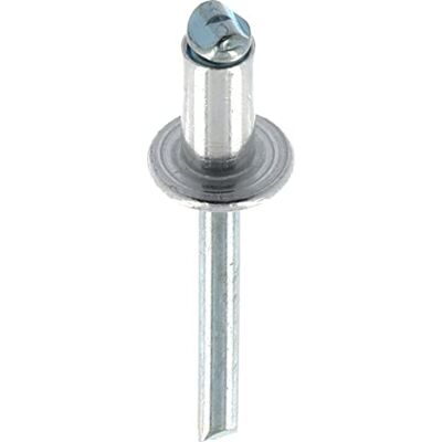 Restagraf Niete mit großem Kopf, Aluminium & Stahlschaft – kompatibel mit Citroen, DS, FIAT, Opel, Peugeot, Toyota – Durchmesser 6,4 mm – Länge 12 mm – Ref. 12952 – Beutel mit 15 Stück Restagraf Niete mit großem Kopf, Aluminium & Stahlschaft – kompatibel mit Citroen, DS, FIAT, Opel, Peugeot, Toyota – Durchmesser 6,4 mm – Länge 12 mm – Ref. 12952 – Beutel mit 15 Stück