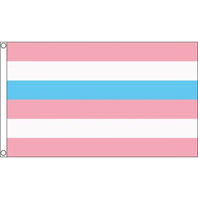AZ FLAG Flagge Intersex Stolz Rosa und blaue 150x90 cm 2 Ösen Für innen und außen dekorative Flagge doppelte Nähte und verstärkte Kanten mit Metallösen 100D Polyester AZ FLAG Flagge Intersex Stolz Rosa und blaue 150x90 cm 2 Ösen Für innen und außen dekorative Flagge doppelte Nähte und verstärkte Kanten mit Metallösen 100D Polyester