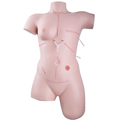 3B Scientific P100 Trainer für Wundversorgung und Verbandstechniken 3B Scientific P100 Trainer für Wundversorgung und Verbandstechniken