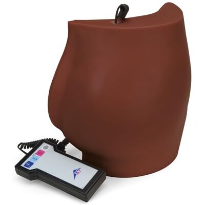 3B Scientific Injektionssimulator Gesäß P57D – dunkle Hautfarbe 3B Scientific Injektionssimulator Gesäß P57D – dunkle Hautfarbe