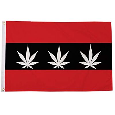 AZ FLAG Flagge Amsterdam Rasta 150x90 cm Holländische Polyester 100D 2 Ösen Für innen und außen dekorative Flagge doppelte Nähte und verstärkte Kanten mit Metallösen 100D Polyester AZ FLAG Flagge Amsterdam Rasta 150x90 cm Holländische Polyester 100D 2 Ösen Für innen und außen dekorative Flagge doppelte Nähte und verstärkte Kanten mit Metallösen 100D Polyester