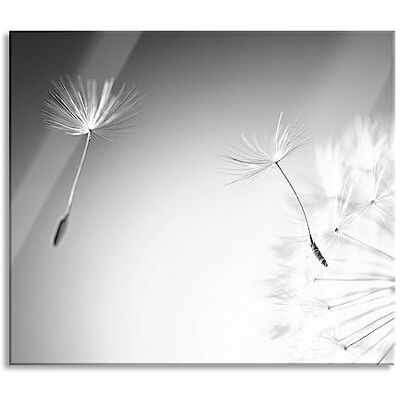 Pixxprint Löwenzahn Pusteblume Herdabdeckplatte & Spritzschutz aus Echtglas Für Herd-Kochfelder 60x52 cm Pixxprint Löwenzahn Pusteblume Herdabdeckplatte & Spritzschutz aus Echtglas Für Herd-Kochfelder 60x52 cm
