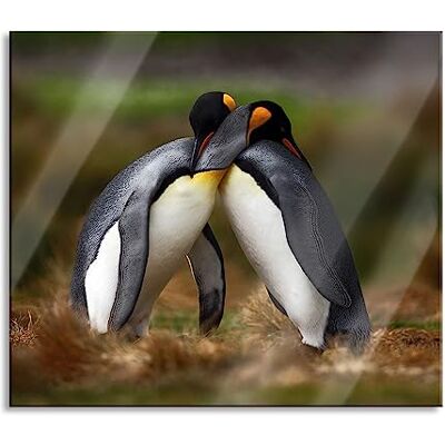 Pixxprint Pinguine in der Antarktis Herdabdeckplatte & Spritzschutz aus Echtglas Für Herd-Kochfelder 60x52 cm Pixxprint Pinguine in der Antarktis Herdabdeckplatte & Spritzschutz aus Echtglas Für Herd-Kochfelder 60x52 cm