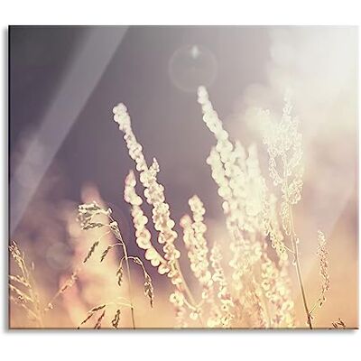 Pixxprint Gräser bei abendlicher Dämmerung Herdabdeckplatte & Spritzschutz aus Echtglas Für Herd-Kochfelder 60x52 cm Pixxprint Gräser bei abendlicher Dämmerung Herdabdeckplatte & Spritzschutz aus Echtglas Für Herd-Kochfelder 60x52 cm