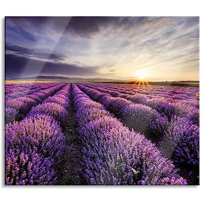 Pixxprint Traumhafte Lavendel Provence Herdabdeckplatte & Spritzschutz aus Echtglas Für Herd-Kochfelder 60x52 cm Pixxprint Traumhafte Lavendel Provence Herdabdeckplatte & Spritzschutz aus Echtglas Für Herd-Kochfelder 60x52 cm