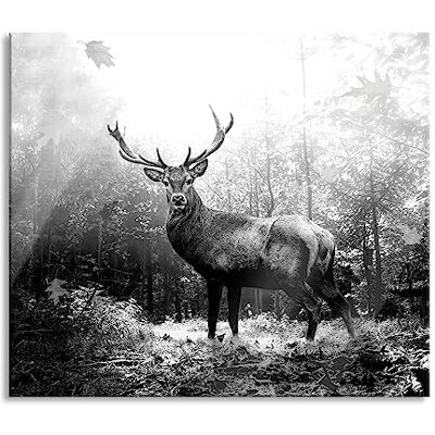 Pixxprint Hirsch im Wald mit fallenden Blättern, Monochrome Herdabdeckplatte & Spritzschutz aus Echtglas Für Herd-Kochfelder 60x52 cm Pixxprint Hirsch im Wald mit fallenden Blättern, Monochrome Herdabdeckplatte & Spritzschutz aus Echtglas Für Herd-Kochfelder 60x52 cm