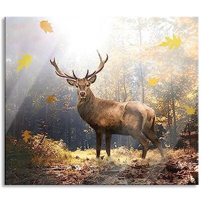 Pixxprint Hirsch im Wald mit fallenden Blättern Herdabdeckplatte & Spritzschutz aus Echtglas Für Herd-Kochfelder 60x52 cm Pixxprint Hirsch im Wald mit fallenden Blättern Herdabdeckplatte & Spritzschutz aus Echtglas Für Herd-Kochfelder 60x52 cm