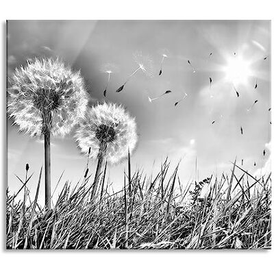Pixxprint Pusteblumen auf Frühlingswiese Herdabdeckplatte & Spritzschutz aus Echtglas Für Herd-Kochfelder 60x52 cm Pixxprint Pusteblumen auf Frühlingswiese Herdabdeckplatte & Spritzschutz aus Echtglas Für Herd-Kochfelder 60x52 cm