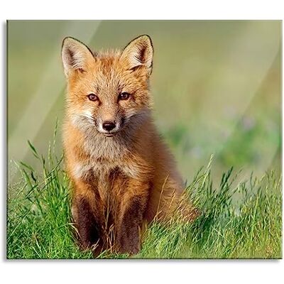 Pixxprint Kleiner Fuchs Herdabdeckplatte & Spritzschutz aus Echtglas Für Herd-Kochfelder 60x52 cm Pixxprint Kleiner Fuchs Herdabdeckplatte & Spritzschutz aus Echtglas Für Herd-Kochfelder 60x52 cm