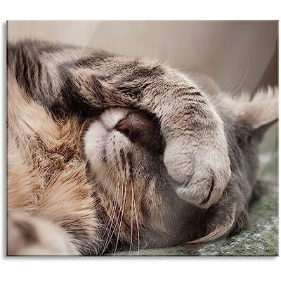 Pixxprint Schüchterne niedliche Katze Herdabdeckplatte & Spritzschutz aus Echtglas Für Herd-Kochfelder 60x52 cm Pixxprint Schüchterne niedliche Katze Herdabdeckplatte & Spritzschutz aus Echtglas Für Herd-Kochfelder 60x52 cm