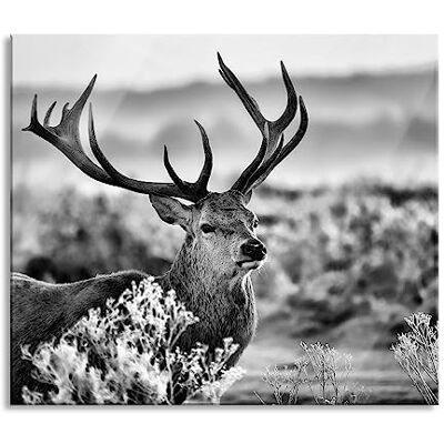 Pixxprint Stolzer Hirsch auf Wiese Herdabdeckplatte & Spritzschutz aus Echtglas Für Herd-Kochfelder 60x52 cm Pixxprint Stolzer Hirsch auf Wiese Herdabdeckplatte & Spritzschutz aus Echtglas Für Herd-Kochfelder 60x52 cm