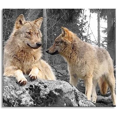 Pixxprint Wölfe im Wald Herdabdeckplatte & Spritzschutz aus Echtglas Für Herd-Kochfelder 60x52 cm Pixxprint Wölfe im Wald Herdabdeckplatte & Spritzschutz aus Echtglas Für Herd-Kochfelder 60x52 cm