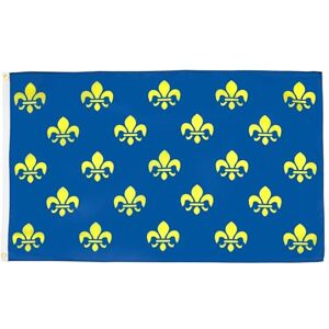 AZ FLAG Flagge Blume Gold- Und Blaulilie 150x90 cm Königreich Frankreich Fahne 100% Polyester mit Messing-Ösen 110g AZ FLAG Flagge Blume Gold- Und Blaulilie 150x90 cm Königreich Frankreich Fahne 100% Polyester mit Messing-Ösen 110g