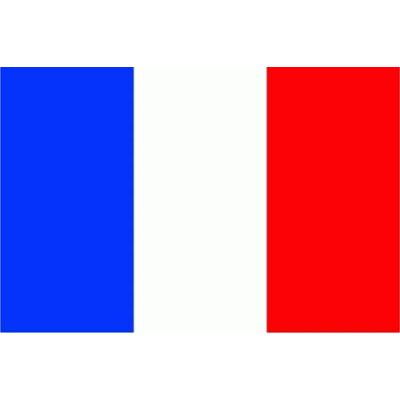 trends4cents Flagge Frankreich 90 x 150 cm – Hissflagge mit 2 Ösen – 100g/m² Stoffgewicht – Robuste Nationalfahne trends4cents Flagge Frankreich 90 x 150 cm – Hissflagge mit 2 Ösen – 100g/m² Stoffgewicht – Robuste Nationalfahne