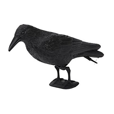 Floraworld Rabe Classic, Schwarz, 37 x 12 x 15 cm Floraworld Rabe Classic, Schwarz, 37 x 12 x 15 cm