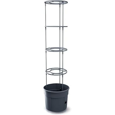 Prosperplast Anzuchttopf für Tomaten mit Rankhilfe – Pflanzkübel aus robustem Kunststoff anthrazit wetterfest & UV-beständig ideal für Garten & Terrasse (34,5 cm) Prosperplast Anzuchttopf für Tomaten mit Rankhilfe – Pflanzkübel aus robustem Kunststoff anthrazit wetterfest & UV-beständig ideal für Garten & Terrasse (34,5 cm)