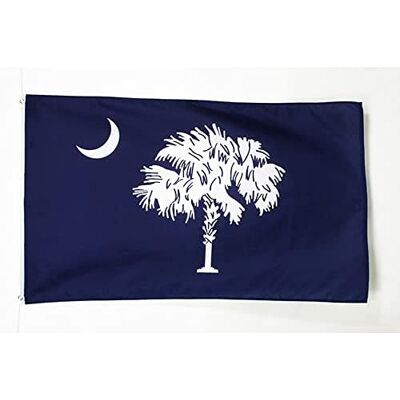 AZ FLAG Flagge South Carolina 150x90 cm Leichtes Polyester 2 Ösen Für innen Bundesstaat South Carolina dekorative Flagge doppelte Nähte und verstärkte Kanten mit Metallösen AZ FLAG Flagge South Carolina 150x90 cm Leichtes Polyester 2 Ösen Für innen Bundesstaat South Carolina dekorative Flagge doppelte Nähte und verstärkte Kanten mit Metallösen