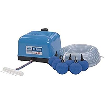 AquaForte Hailea V20 Luftpumpen-Set 9l/min, inkl. Steine und Schlauch AquaForte Hailea V20 Luftpumpen-Set 9l/min, inkl. Steine und Schlauch