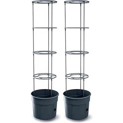 Prosperplast Tomate Grower Pflanzkübel aus Kunststoff in Anthrazit (L) x 39,2 cm (B) x 31,5-153 cm (H) (Groß 2 Stück) Prosperplast Tomate Grower Pflanzkübel aus Kunststoff in Anthrazit (L) x 39,2 cm (B) x 31,5-153 cm (H) (Groß 2 Stück)