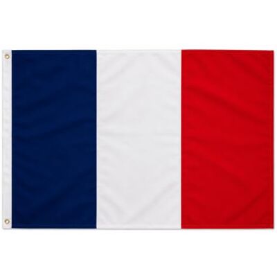 trends4cents Flagge Frankreich 150x250 cm 3 Metallösen, doppelt vernäht – 100% Polyester Fahne Frankreich im Format 150x250 cm – 3 Metallösen – UV-beständig – wetterfest – doppelt vernäht – zum Hissen am Fahnenmast trends4cents Flagge Frankreich 150x250 cm 3 Metallösen, doppelt vernäht – 100% Polyester Fahne Frankreich im Format 150x250 cm – 3 Metallösen – UV-beständig – wetterfest – doppelt vernäht – zum Hissen am Fahnenmast