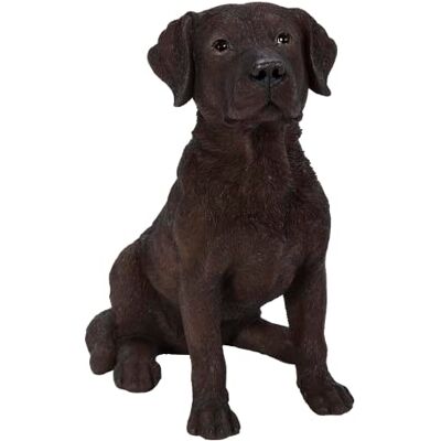 Vivid Arts (Schokoladen-Labrador sitzend Vivid Arts (Schokoladen-Labrador sitzend
