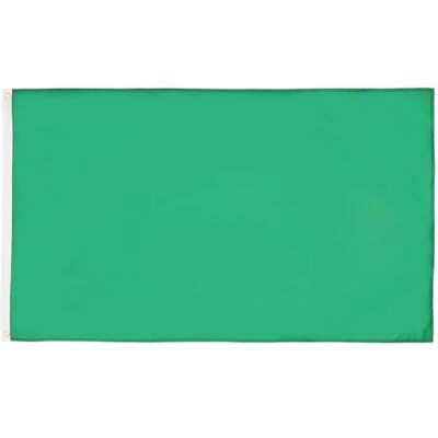 Grüne Flagge - 250x150cm - Polyester - Verstärkte Kanten Grüne Flagge - 250x150cm - Polyester - Verstärkte Kanten