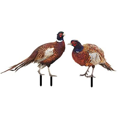 Haodream Dekorative Gartenstecker Statue, 2er Pack Fasanenstecker aus Dekorative Tierstatue Skulptur, für Hof Rasen Terrassen Kunstdekoration, Outdoor Ornament Haodream Dekorative Gartenstecker Statue, 2er Pack Fasanenstecker aus Dekorative Tierstatue Skulptur, für Hof Rasen Terrassen Kunstdekoration, Outdoor Ornament