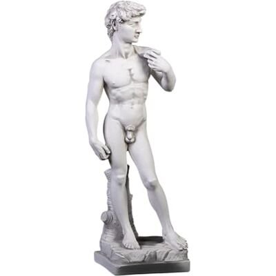 gartendekoparadies.de Statue David von Michelangelo, Steinfigur aus Steinguss, H. 58 cm, 9 kg, Grau, Frostsicher für Außenbereich gartendekoparadies.de Statue David von Michelangelo, Steinfigur aus Steinguss, H. 58 cm, 9 kg, Grau, Frostsicher für Außenbereich
