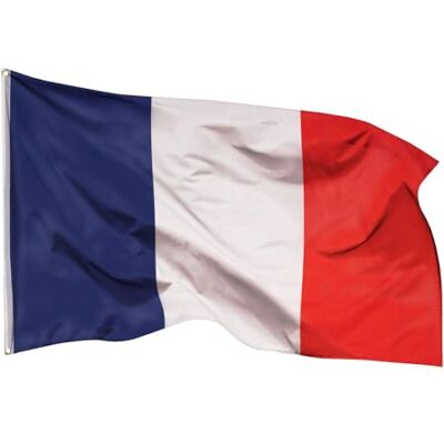 Aricona Frankreich Flagge 60x90cm klein wetterbeständige Fahne mit Messingösen, 100% Polyester, robuste Doppelnaht & in lebendigen Farben ideal für Flaggen-Liebhaber Aricona Frankreich Flagge 60x90cm klein wetterbeständige Fahne mit Messingösen, 100% Polyester, robuste Doppelnaht & in lebendigen Farben ideal für Flaggen-Liebhaber