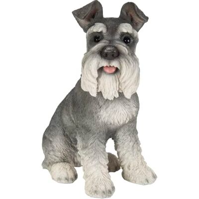 Vivid Arts (Miniaturschnauzer sitzend Vivid Arts (Miniaturschnauzer sitzend