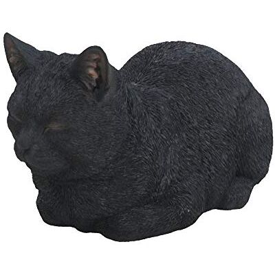 Vivid Arts XRL-DC31-B Traumkatze, Schwarz, Größe B Vivid Arts XRL-DC31-B Traumkatze, Schwarz, Größe B
