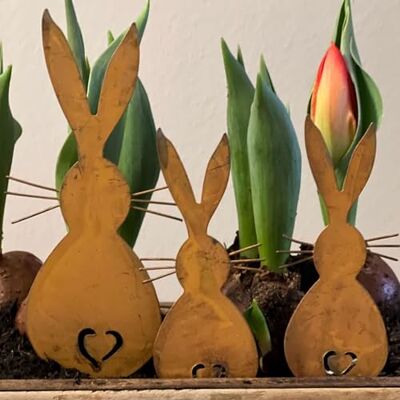Storm Osterhasen Gartenstecker 3er Set – Edelrost Deko für Frühling 2 kleine Hasen + 1 großer Hase, nachhaltige Osterdeko aus Metall Storm Osterhasen Gartenstecker 3er Set – Edelrost Deko für Frühling 2 kleine Hasen + 1 großer Hase, nachhaltige Osterdeko aus Metall